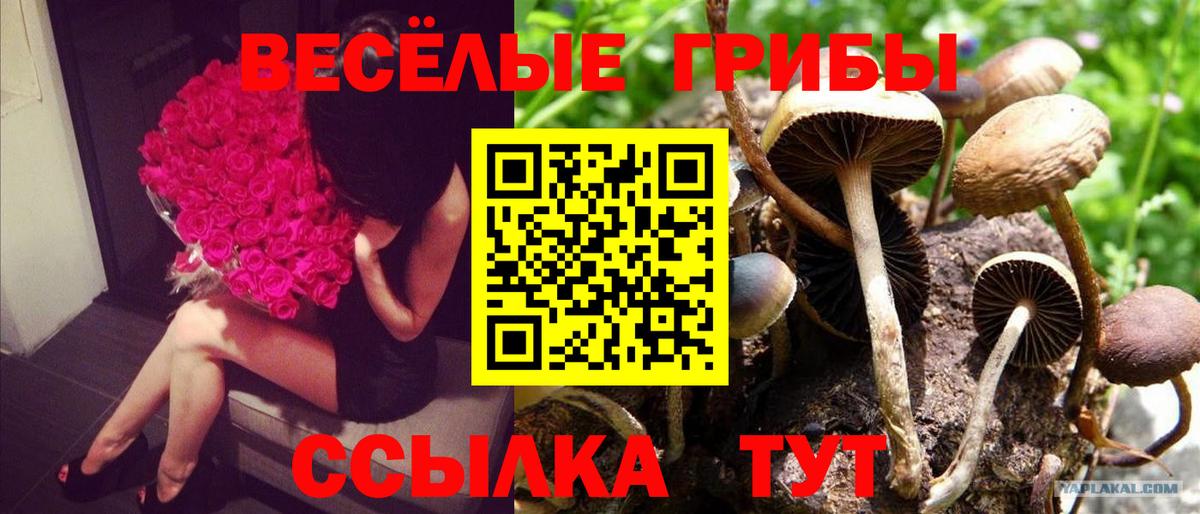 Псилоцибиновые грибы Magic Shrooms Берёзовский