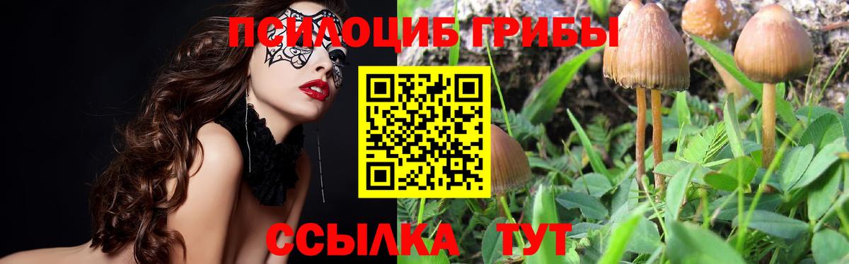 Берёзовский  Псилоцибиновые грибы мицелий  Вход с VPN 